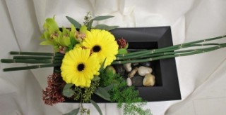 Asian Gerb Floral  Garden - $65.00